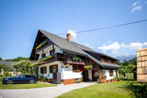 Apartmaji Pre��elj